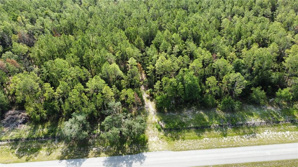 Property for sale at NE HWY 353, OLD TOWN, FL, 32680