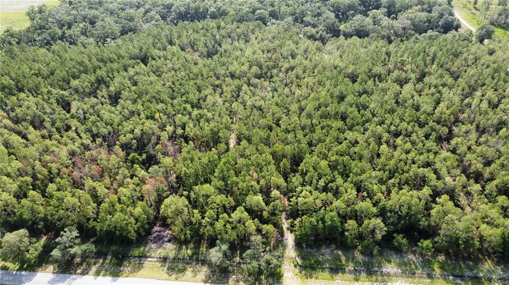 Property for sale at NE HWY 353, OLD TOWN, FL, 32680