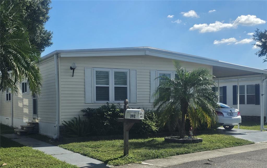 Front Yard