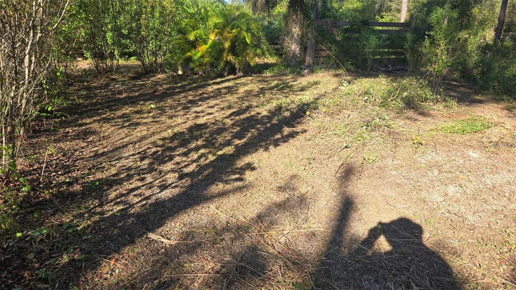 Property for sale at 1231 RAMUS STREET E, LEHIGH ACRES, FL, 33974