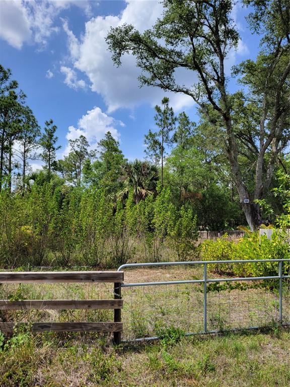 Property for sale at 1231 RAMUS STREET E, LEHIGH ACRES, FL, 33974