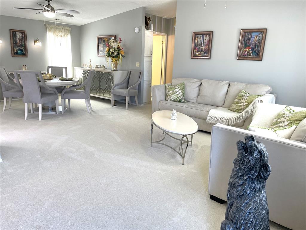 Entering the main living area of the home from the front door