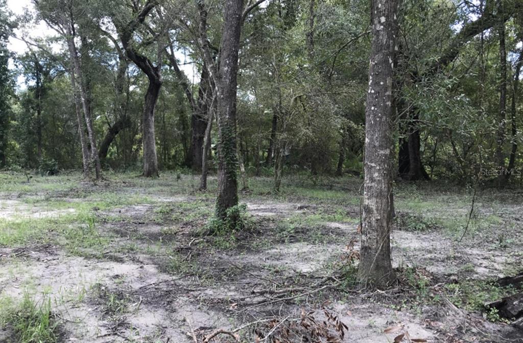 Property for sale at TBD1 SW 129TH BOULEVARD, WEBSTER, FL, 33597
