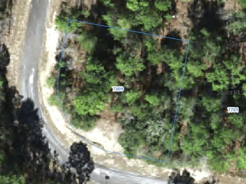 Property for sale at 7809 N IBSEN DRIVE, CITRUS SPRINGS, FL, 34433