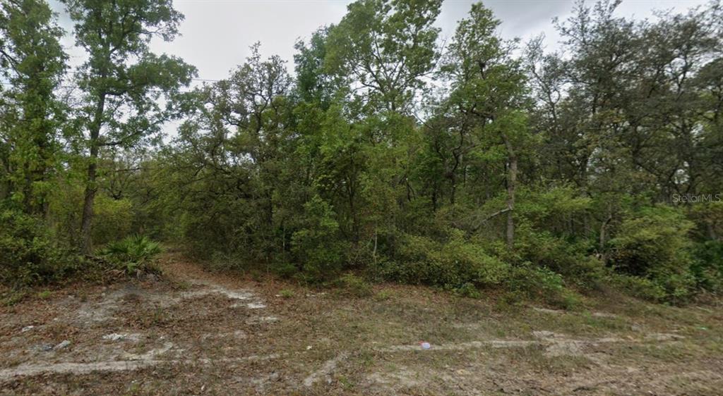 Property for sale at HIGHLINE TRAIL, SATSUMA, FL, 32189