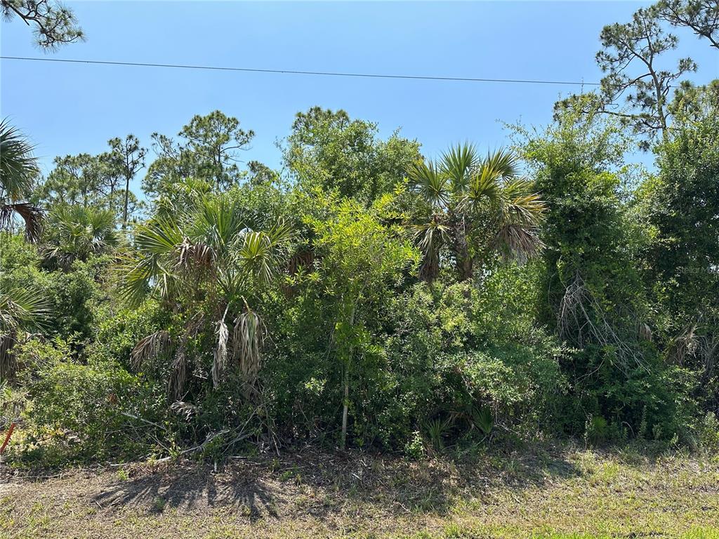 Property for sale at 12091 GREEN GULF BOULEVARD, PUNTA GORDA, FL, 33955