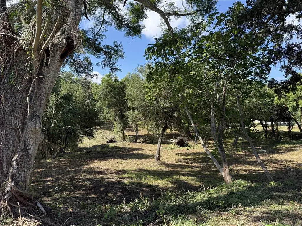 Property for sale at 521 E CLAY AVENUE, BRANDON, FL, 33510