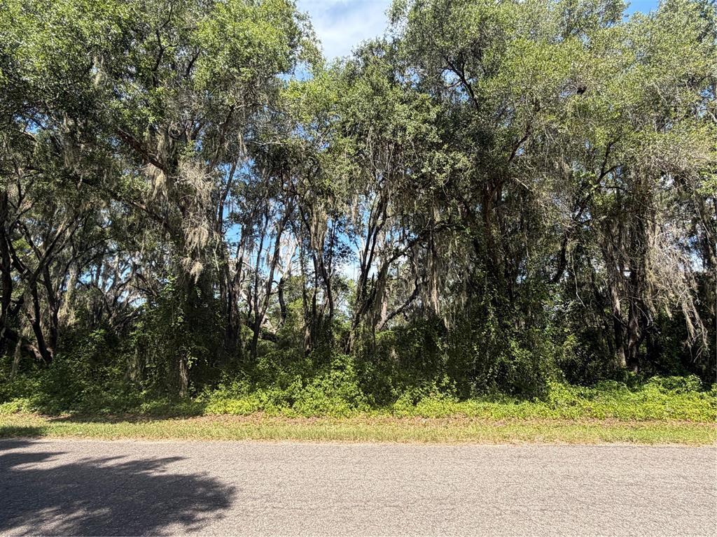 Property for sale at TBD GUAVA TERRACE, OCKLAWAHA, FL, 32179