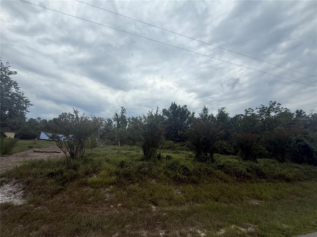 Property for sale at 31514 DIVISION STREET, DELAND, FL, 32720