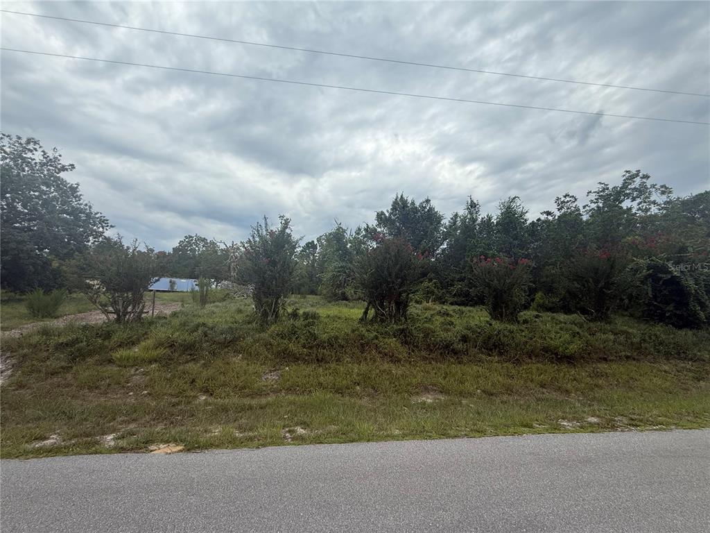 Property for sale at 31514 DIVISION STREET, DELAND, FL, 32720
