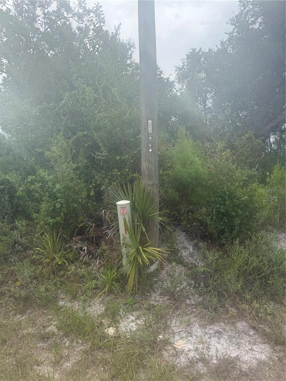 Property for sale at 31514 DIVISION STREET, DELAND, FL, 32720