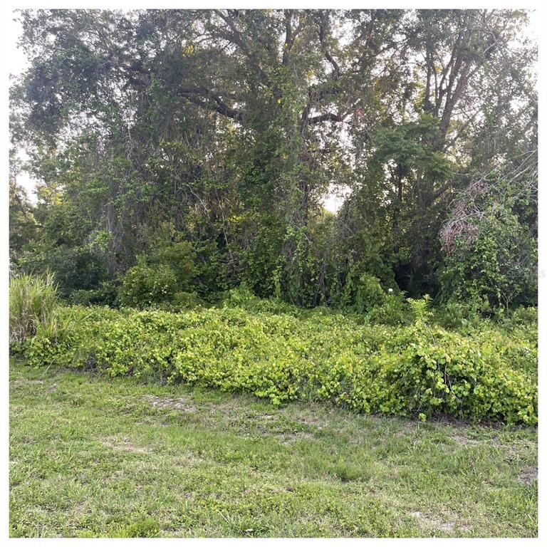 Property for sale at 2701 KINGFISHER VILLAGE, DELAND, FL, 32720