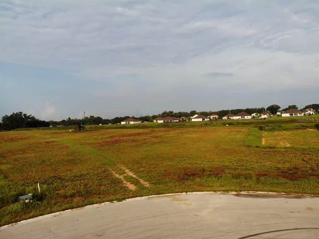 Property for sale at 10016 WHITE EGRET DRIVE, THONOTOSASSA, FL, 33592
