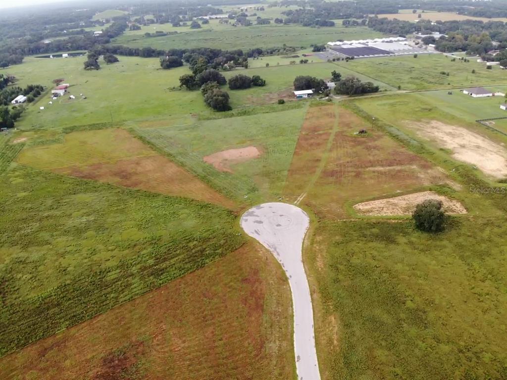 Property for sale at 10016 WHITE EGRET DRIVE, THONOTOSASSA, FL, 33592