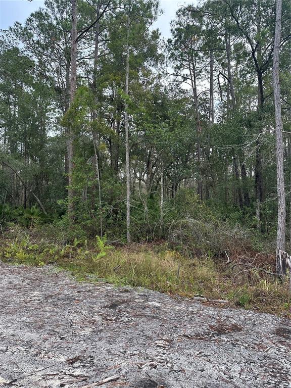 Property for sale at 2301 10TH AVENUE, DELAND, FL, 32724