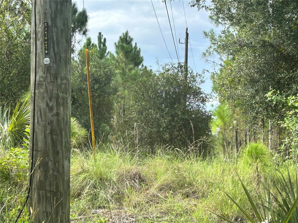 Electrical poles on site