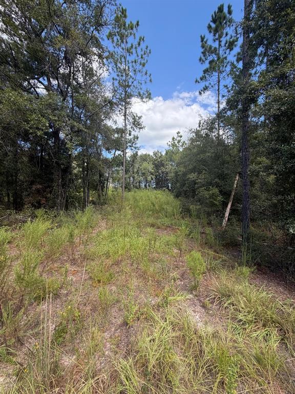 Property for sale at FOXWOOD, FORT WHITE, FL, 32038
