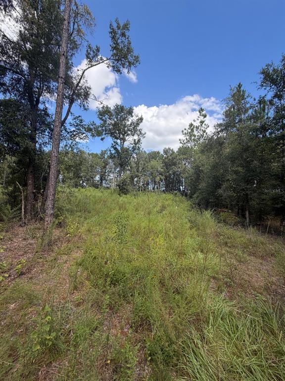 Property for sale at FOXWOOD, FORT WHITE, FL, 32038