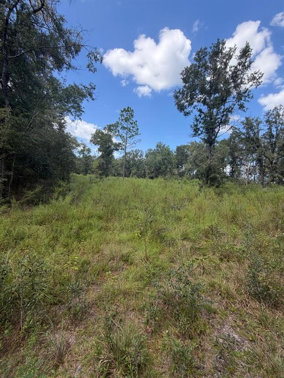 Property for sale at FOXWOOD, FORT WHITE, FL, 32038