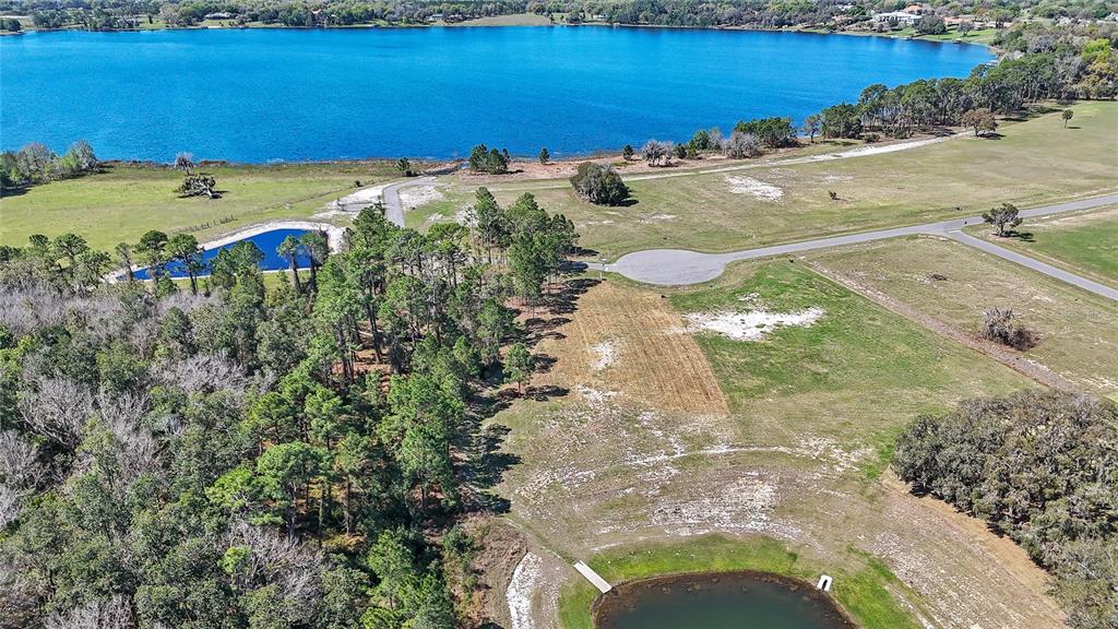Property for sale at 20280 SHORELINE RANCH LANE, UMATILLA, FL, 32784
