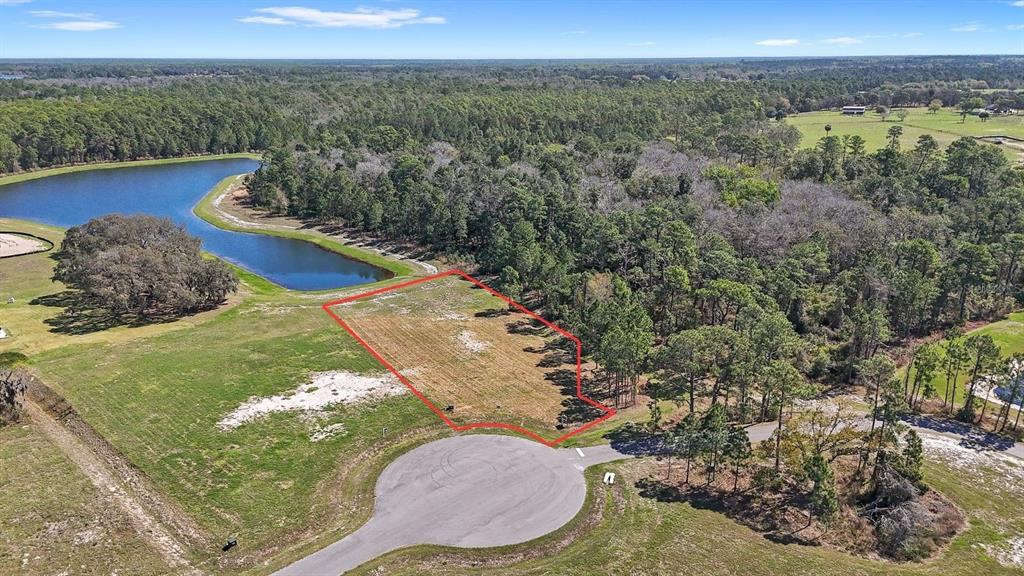 Property for sale at 20280 SHORELINE RANCH LANE, UMATILLA, FL, 32784