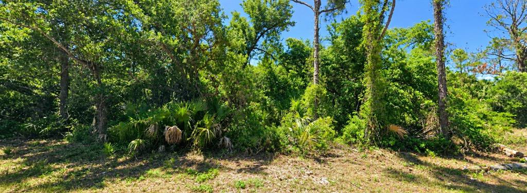 Property for sale at DRAGON STREET, NORTH PORT, FL, 34288