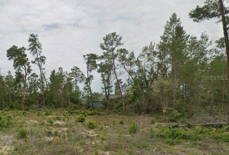 Property for sale at TBD SW 30TH AVE RD, OCALA, FL, 34473