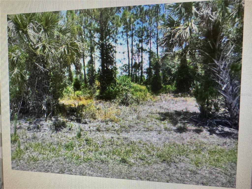 Property for sale at SAGO PALM ROAD, NORTH PORT, FL, 34291