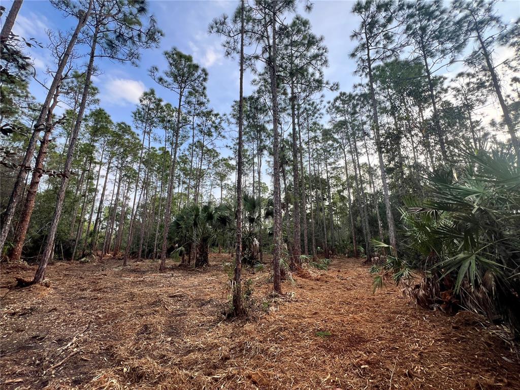 Property for sale at PANTERA LN, NAPLES, FL, 34120