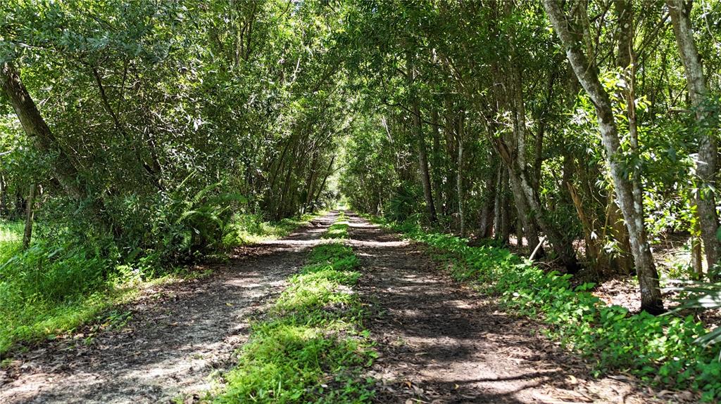 Property for sale at PANTERA LN, NAPLES, FL, 34120