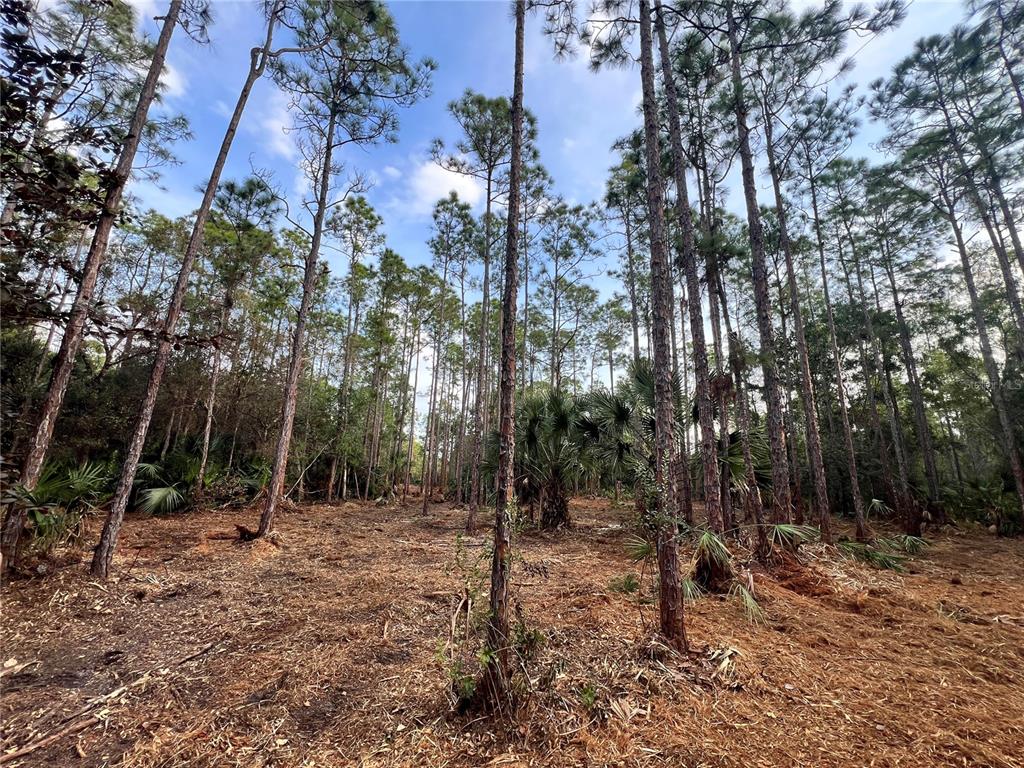 Property for sale at PANTERA LN, NAPLES, FL, 34120