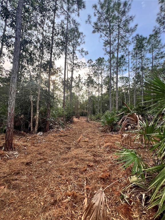 Property for sale at PANTERA LN, NAPLES, FL, 34120