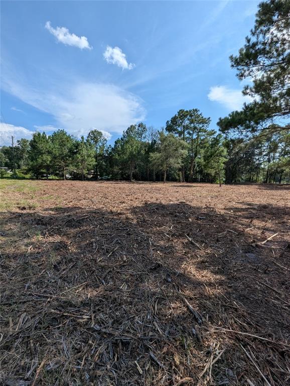 Property for sale at 5781 SW 91ST PLACE, LAKE BUTLER, FL, 32054