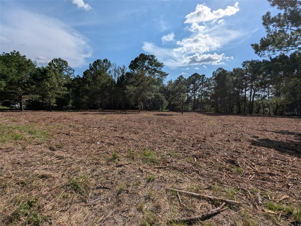 Property for sale at 5781 SW 91ST PLACE, LAKE BUTLER, FL, 32054