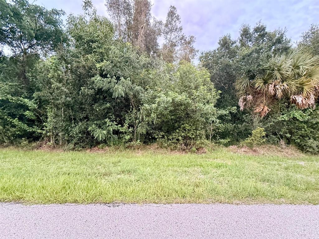 Property for sale at 28304 PASADENA DRIVE, PUNTA GORDA, FL, 33955