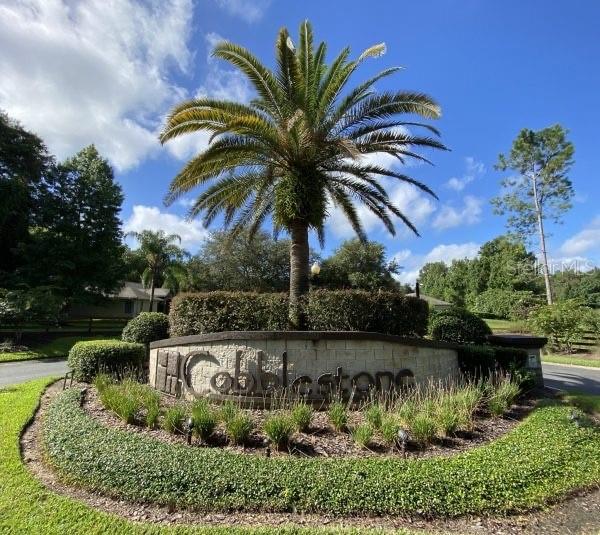 Property for sale at TBD SE 41ST AVENUE, BELLEVIEW, FL, 34420