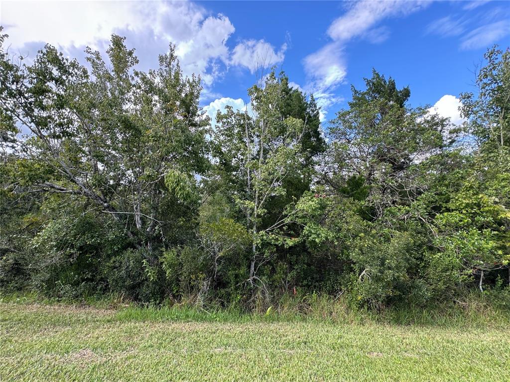 Property for sale at SHELDON STREET, ORLANDO, FL, 32833
