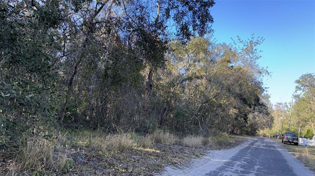 Property for sale at 0 BOUNTY/BARRETT, NEW PORT RICHEY, FL, 34654
