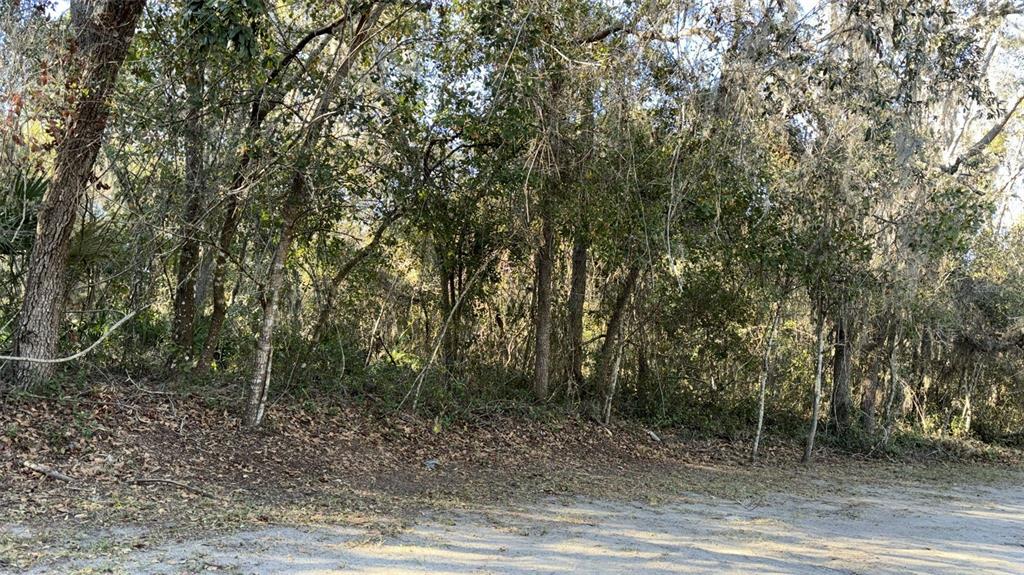 Property for sale at 0 BOUNTY/BARRETT, NEW PORT RICHEY, FL, 34654