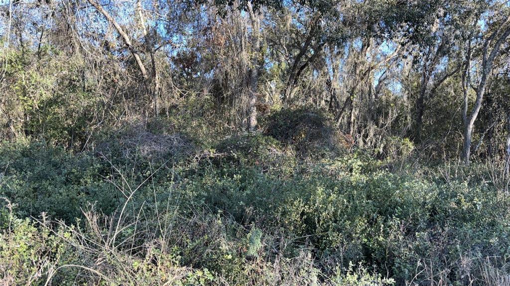 Property for sale at 0 BOUNTY/BARRETT, NEW PORT RICHEY, FL, 34654