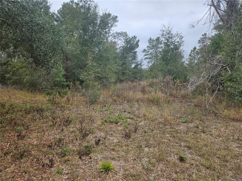 Property for sale at SE HIGHWAY 42, WEIRSDALE, FL, 32195