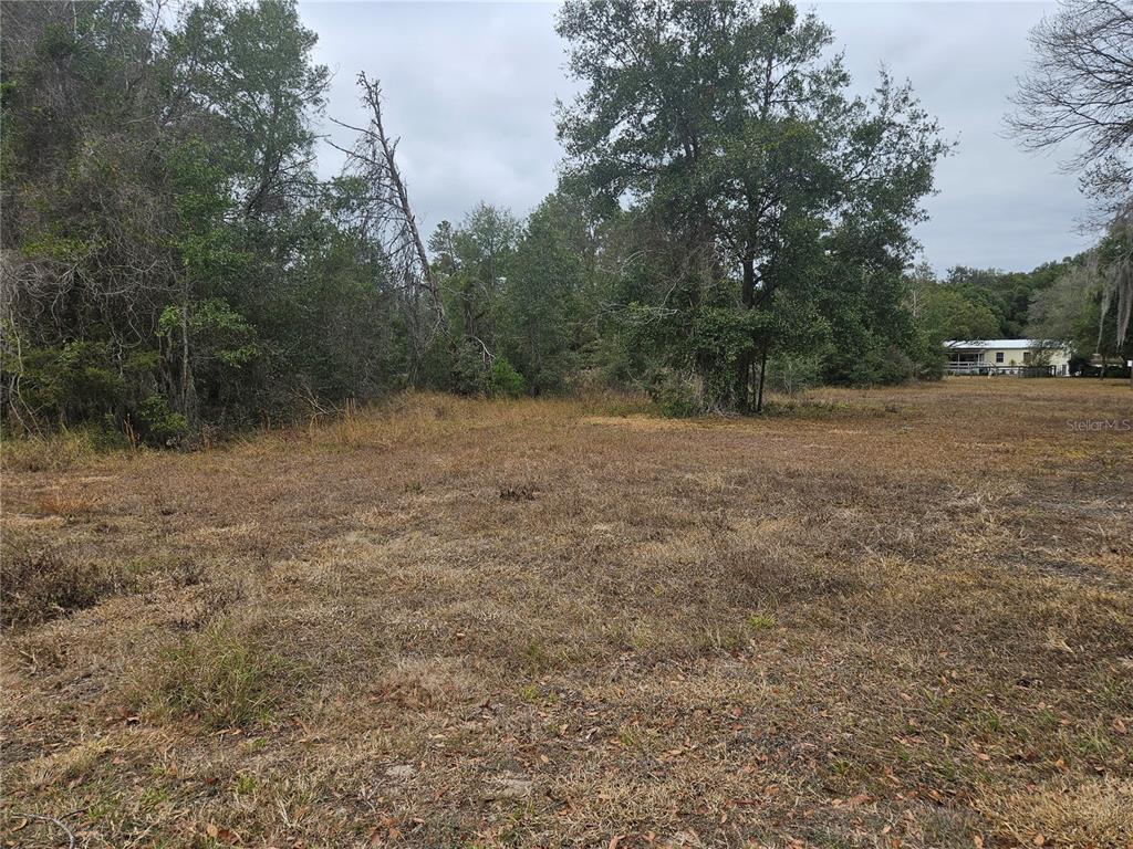 Property for sale at SE HIGHWAY 42, WEIRSDALE, FL, 32195