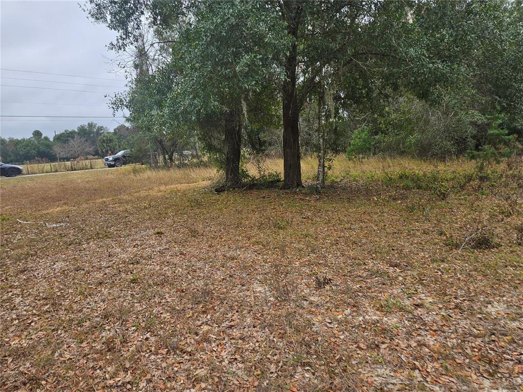 Property for sale at SE HIGHWAY 42, WEIRSDALE, FL, 32195