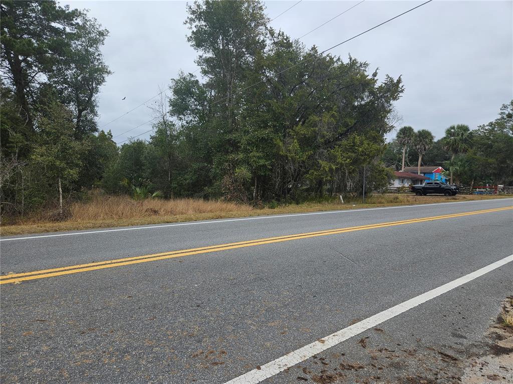 Property for sale at SE HIGHWAY 42, WEIRSDALE, FL, 32195