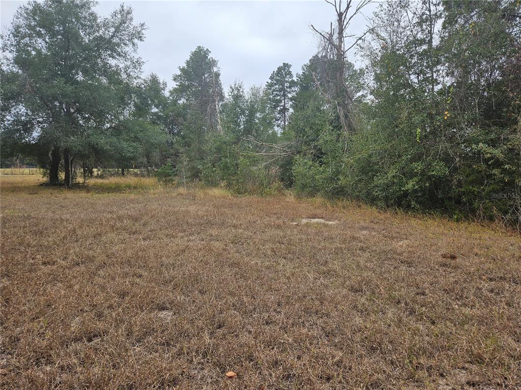 Property for sale at SE HIGHWAY 42, WEIRSDALE, FL, 32195
