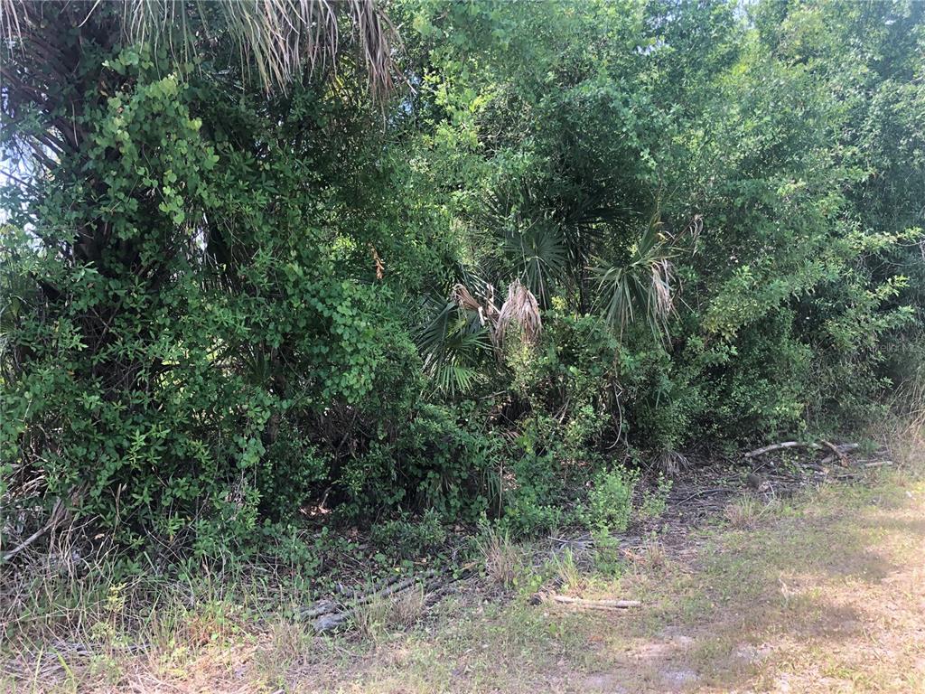Property for sale at DANDURAND AVENUE, NORTH PORT, FL, 34291