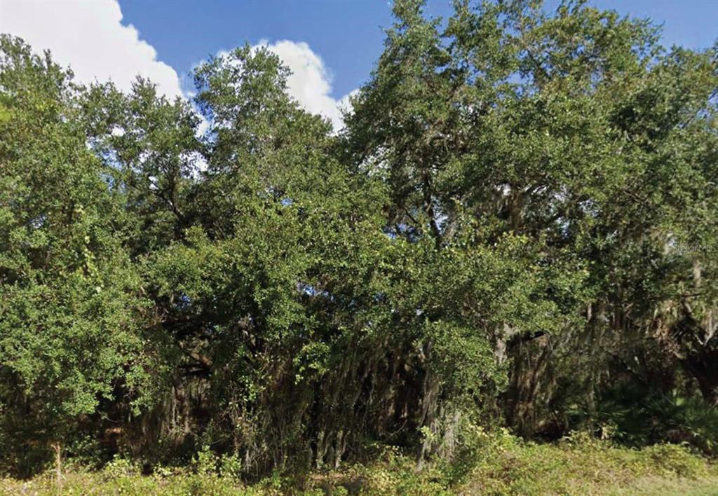 Property for sale at 0 MINEOLA DRIVE, INDIAN LAKE ESTATES, FL, 33855