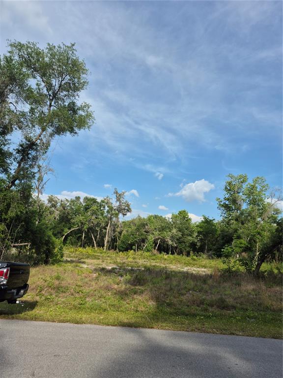 Property for sale at 7490 SHASTA STREET, WEBSTER, FL, 33597
