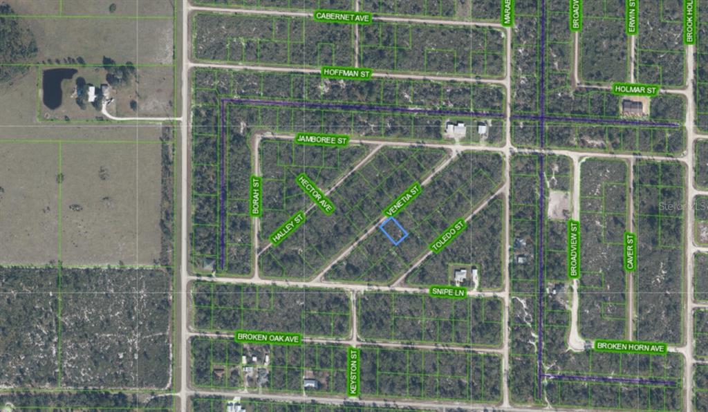 Property for sale at 3535 VENETIA STREET, LAKE PLACID, FL, 33852