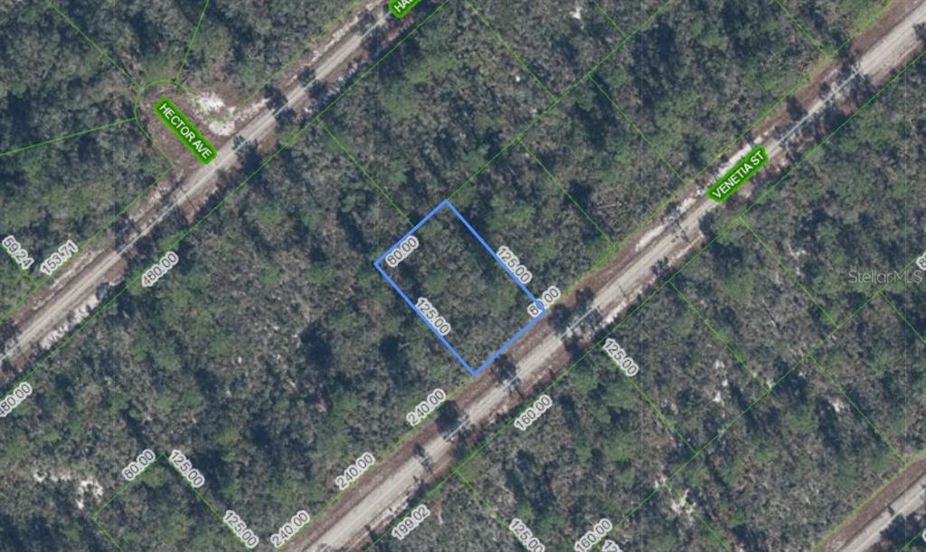 Property for sale at 3535 VENETIA STREET, LAKE PLACID, FL, 33852